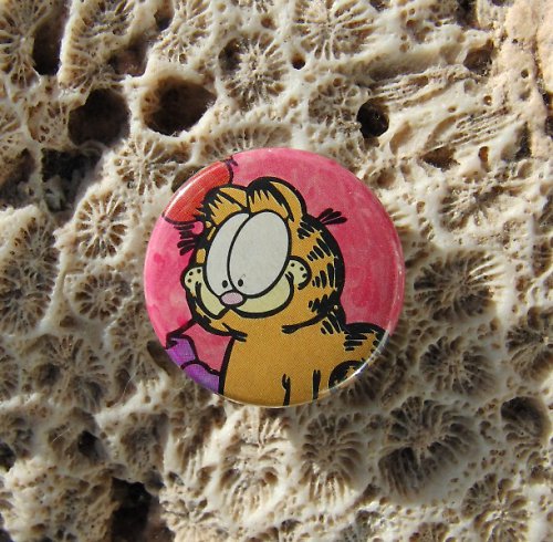 Garfield podruhé — foto 1