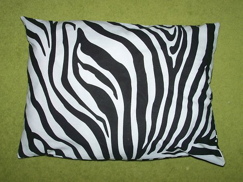 Zebra — foto 1