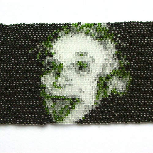 Einstein - na přání — foto 1