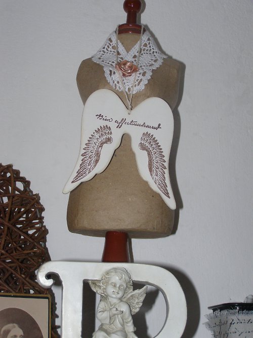 Vintage křídla — foto 1