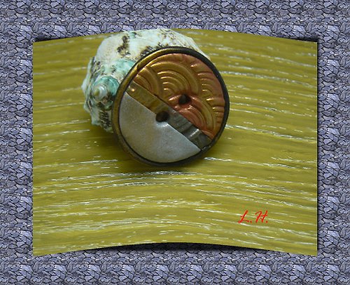 Knoflík — foto 1