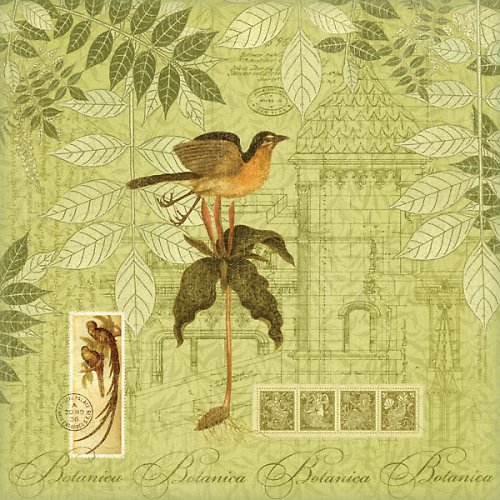 Birds in Paradise - scrapbook — foto 1