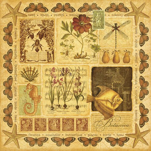 Botanicabella - scrapbook — foto 1