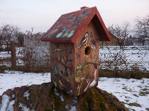 Ptačí budka — foto 1