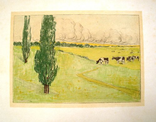Pastvina ... 1896 — foto 1