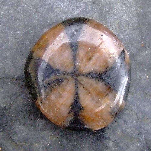Chiastolit — foto 1