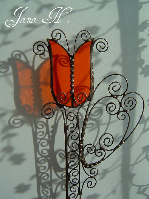Tulipán zápich oranžový — foto 1