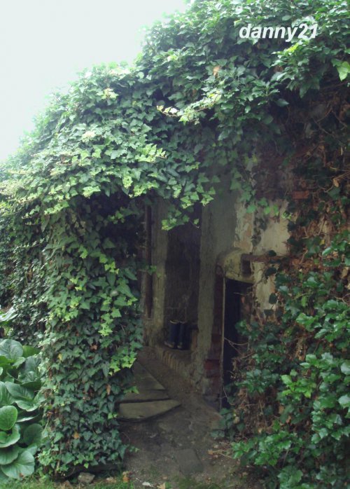 V zeleném objetí — foto 1
