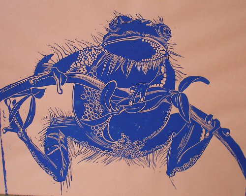 Žába chlupatá 60x49cm — foto 1