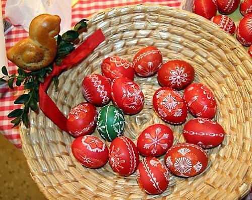 Bílé slepičí výfuky — foto 1