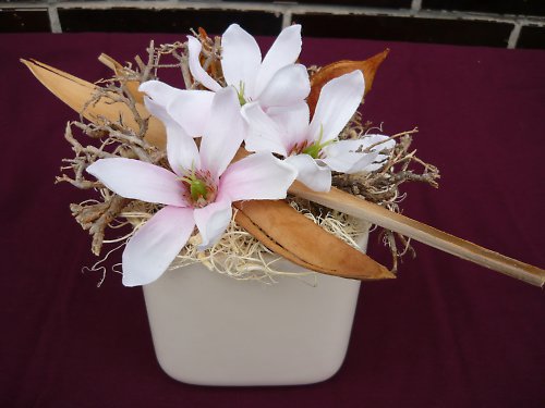 Magnolie — foto 1