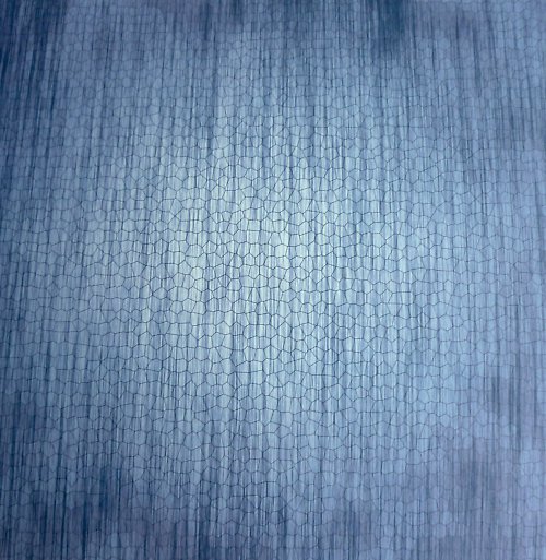 Papír Lattice — foto 1