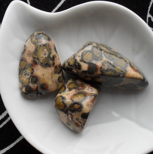 Jaspis leopard sada 3ks (17-30mm) — foto 1