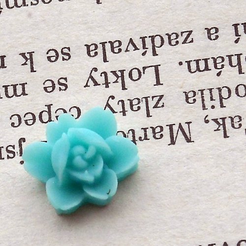 Mini růžičky — foto 1
