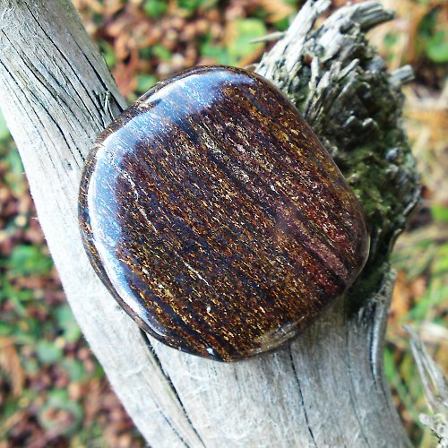Bronzit 49 x 44 x 9 mm — foto 1