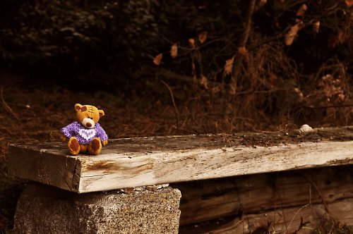 Alone — foto 1