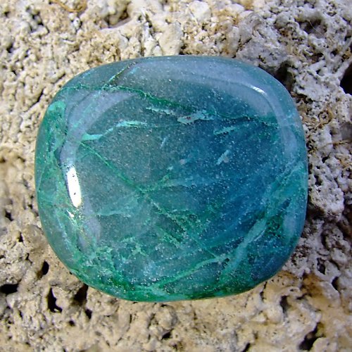 Chrysokol — foto 1