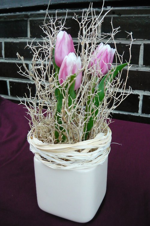 Tulipány v trní — foto 1