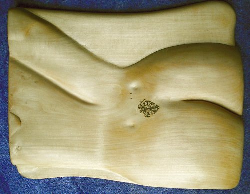 Celá záda saxofonistky — foto 1