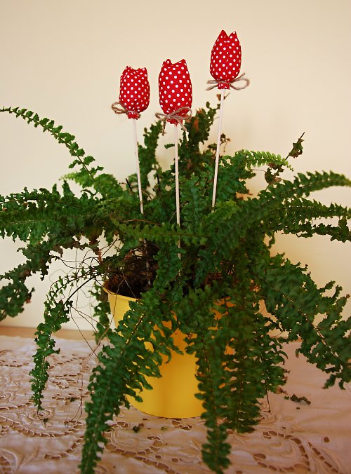 Tulipány 2 — foto 1