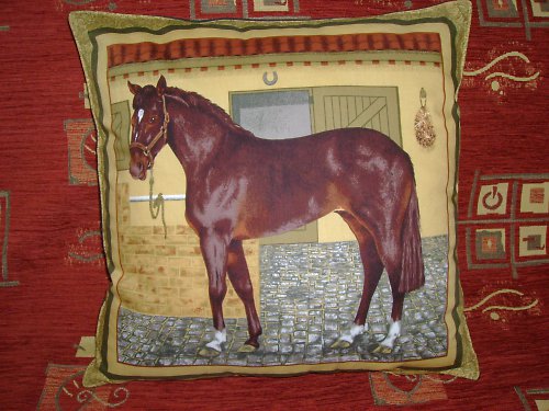Polštář 42x42cm - koníčkový — foto 1