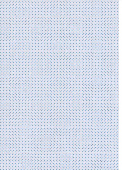 Papír - Capsule BlueBerry A4 - 6 — foto 1