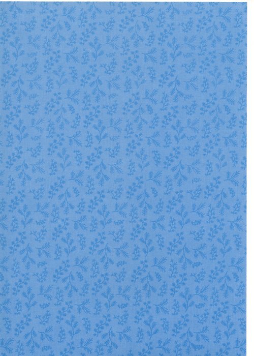 Papír - Capsule BlueBerry A4 - 15 — foto 1