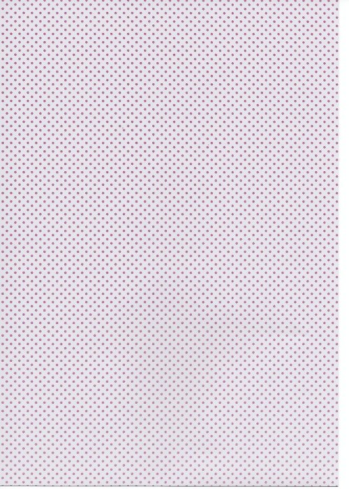 Papír - Capsule BoysenBerry A4 - 6 — foto 1