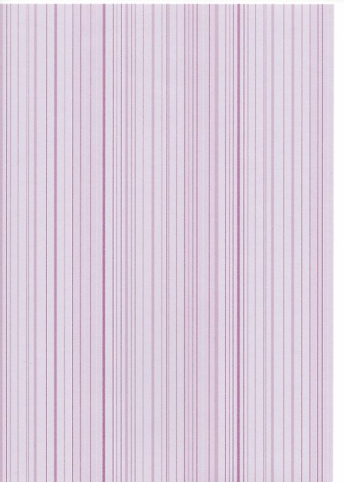 Papír - Capsule BoysenBerry A4 - 12 — foto 1