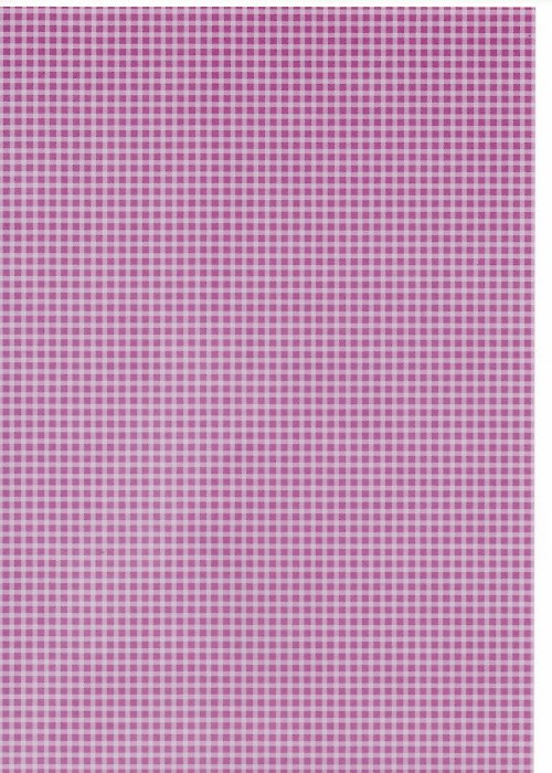 Papír - Capsule BoysenBerry A4 - 13 — foto 1