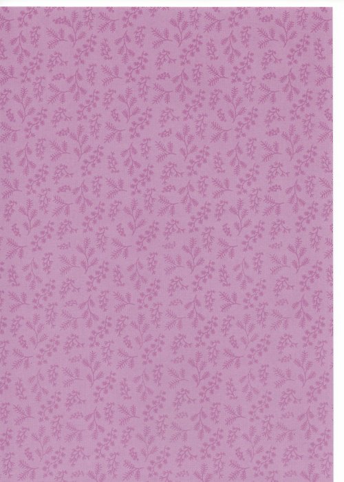 Papír - Capsule BoysenBerry A4 - 15 — foto 1