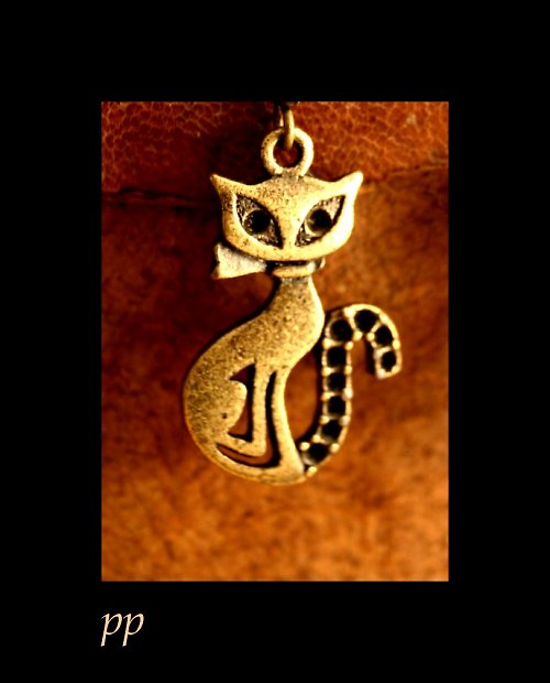 Cat for krk — foto 1