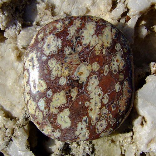 Jaspis Leopardí — foto 1