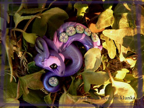 Dračí slečna Flora — foto 1