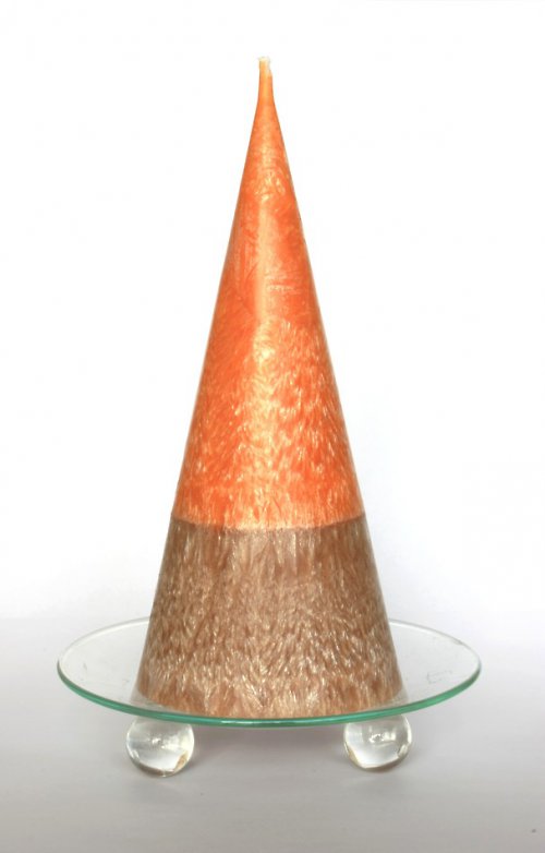 Hnědooranžová palmovka — foto 1