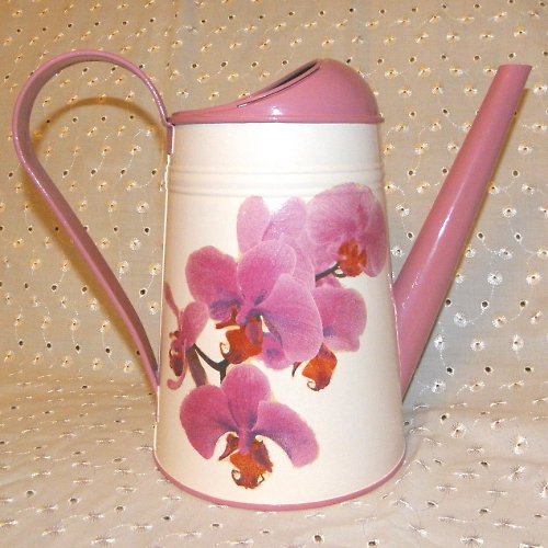 Konvička s orchidejí — foto 1