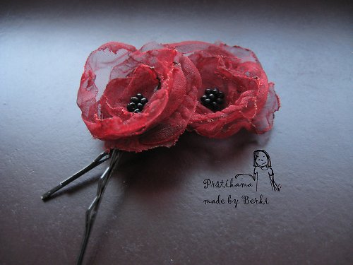 Sponky Bordule — foto 1