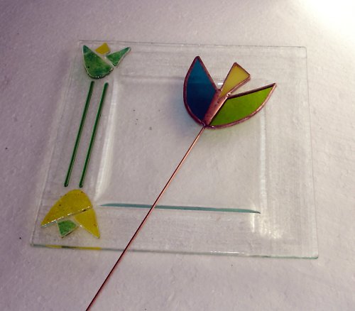 Talířek Tulipán — foto 1