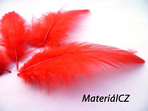 Peří ČERVENÁ, 3 - 7 cm - cca 20 ks — foto 1