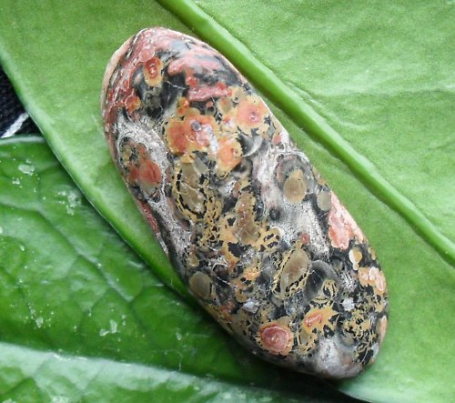 Jaspis leopard 37x18x10mm — foto 1