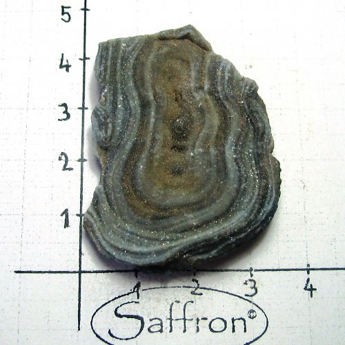 Chalcedonová růže č.09 — foto 1