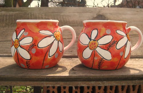 Červený heřmánek 0,6l — foto 1