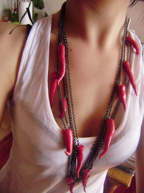 Chilli podruhé.... — foto 1
