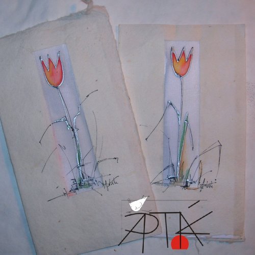 Přáníčko, "TULIPÁN" — foto 1