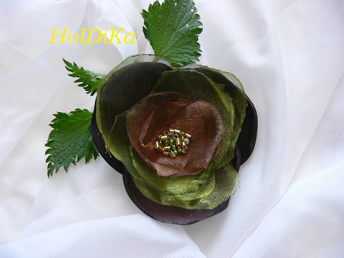 Brož - hrátky s hnědou — foto 1