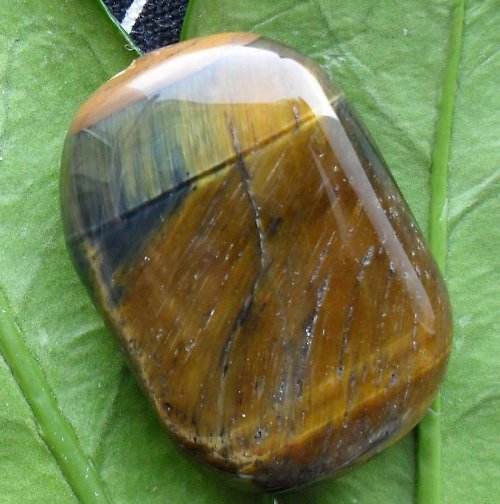 Sokolí oko MAXI 37x26x9 — foto 1