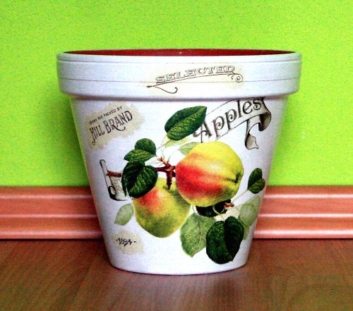 Apples - květináč průměr 17 cm — foto 1