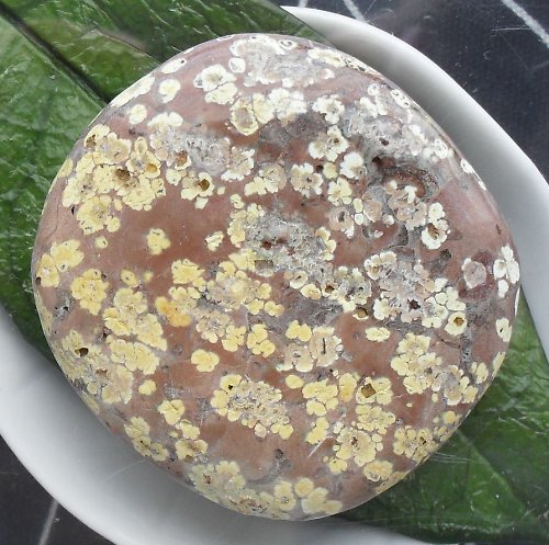 Jaspis leopard 44x41mm — foto 1