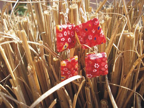 Jaro - červená — foto 1