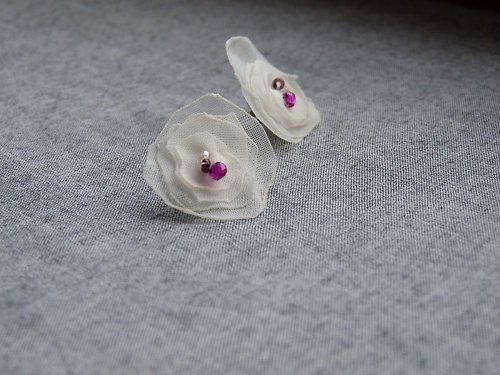 Květy Coronilla varia — foto 1